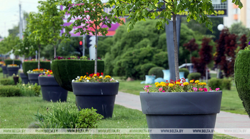 лепшыя гарады