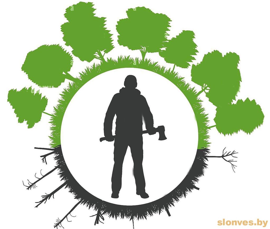 высечка дрэваў